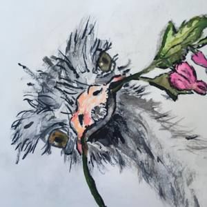 Meet your Posher, Lin